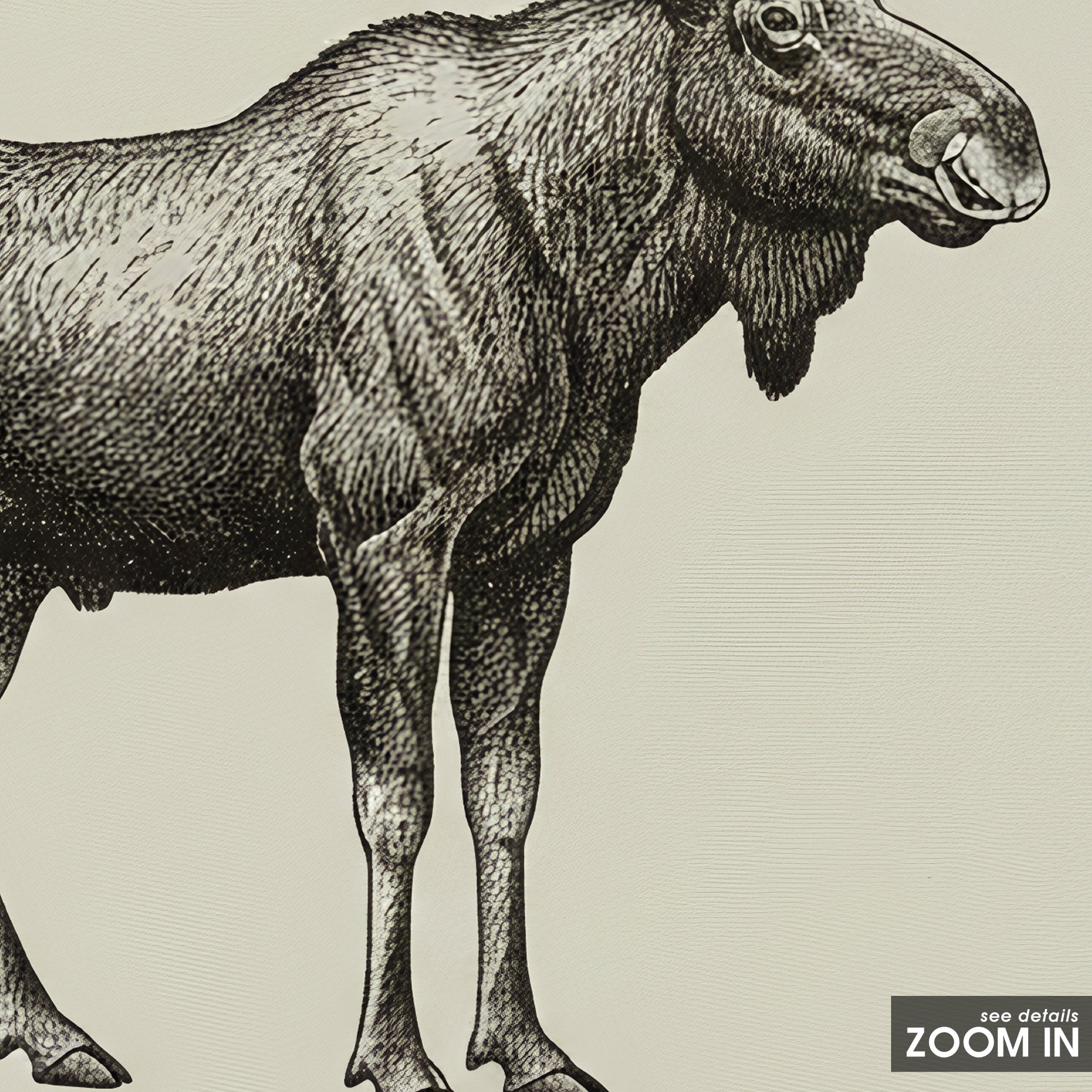 Ticking Stripe Moose — Sketch Print – detail closeup