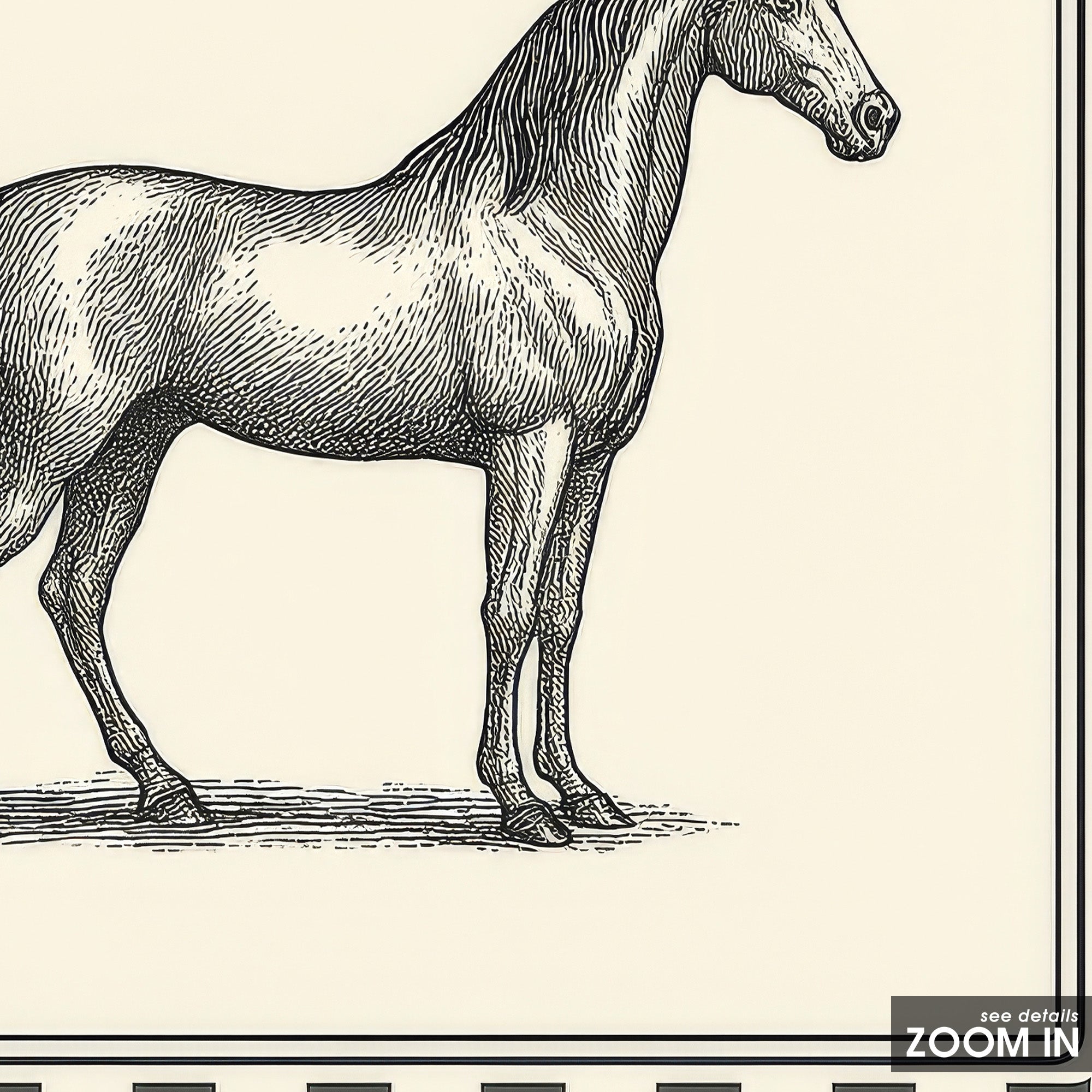 Ticking Stripe Horse — Engraving Print – in room setting