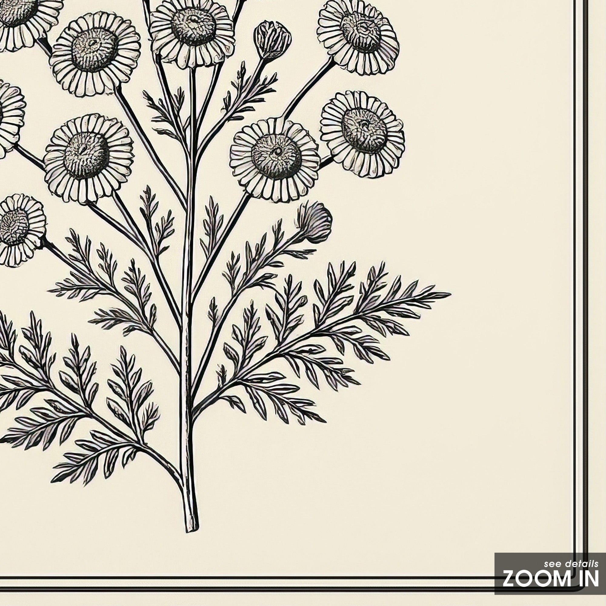 Ticking Stripe Thistle — Botanical Print – in room setting