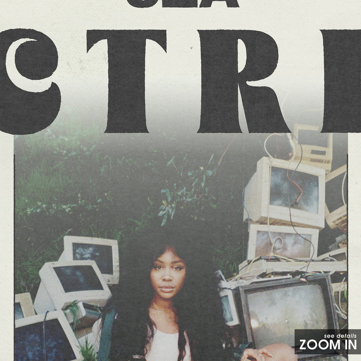 SZA Ctrl newspaper poster, Full Scene — close-up detail