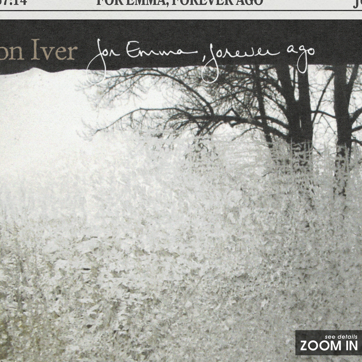 Bon Iver For Emma, Forever Ago newspaper poster — close-up detail