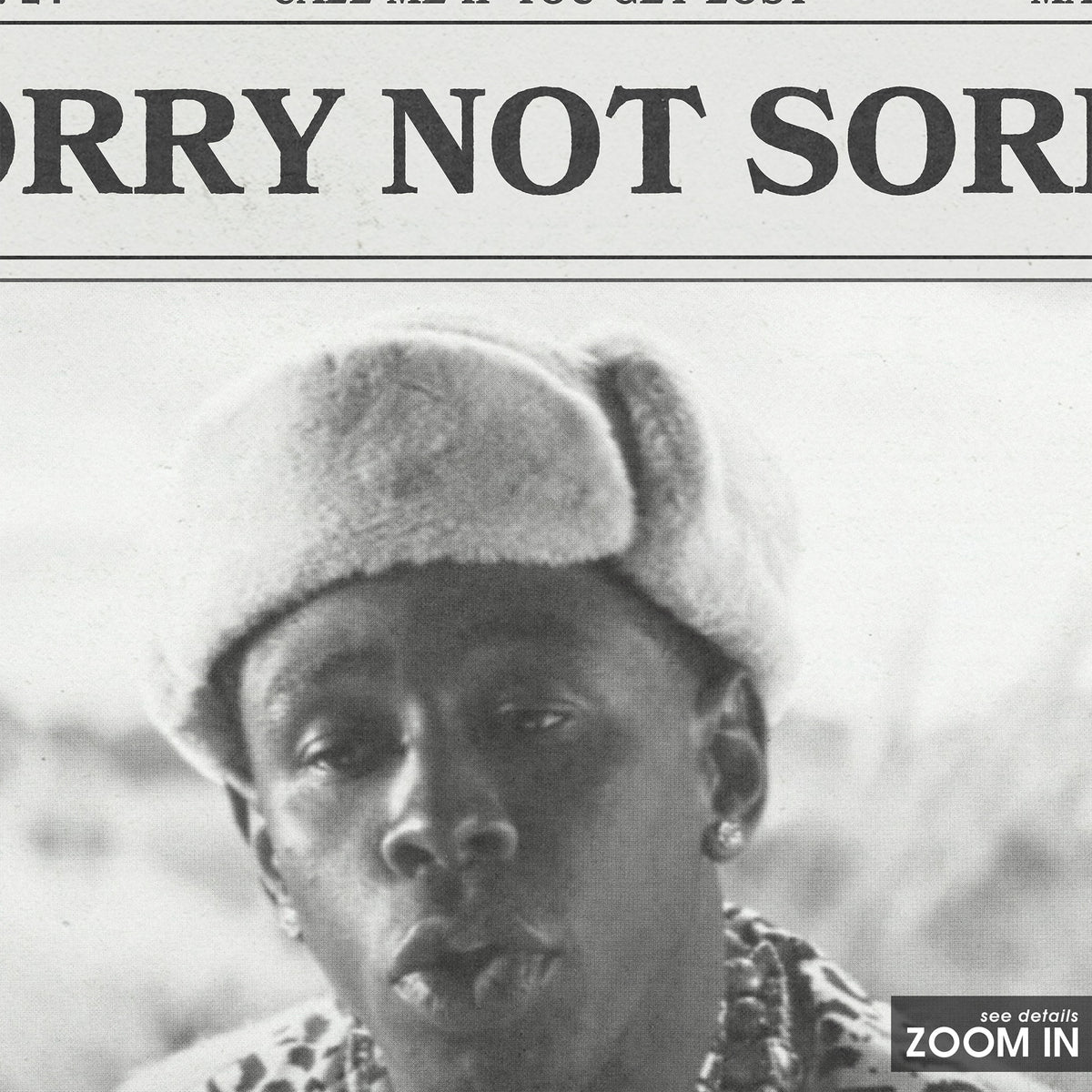 Tyler, the Creator Sorry Not Sorry newspaper poster, Cap — close-up detail