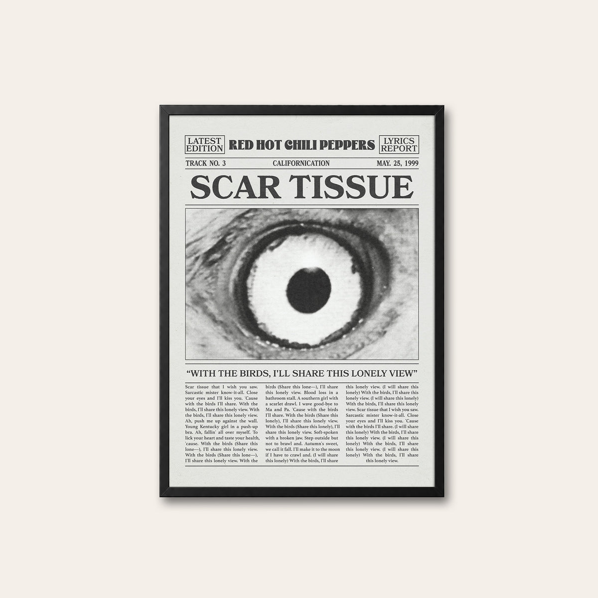 Red Hot Chili Peppers Scar Tissue newspaper poster — black frame