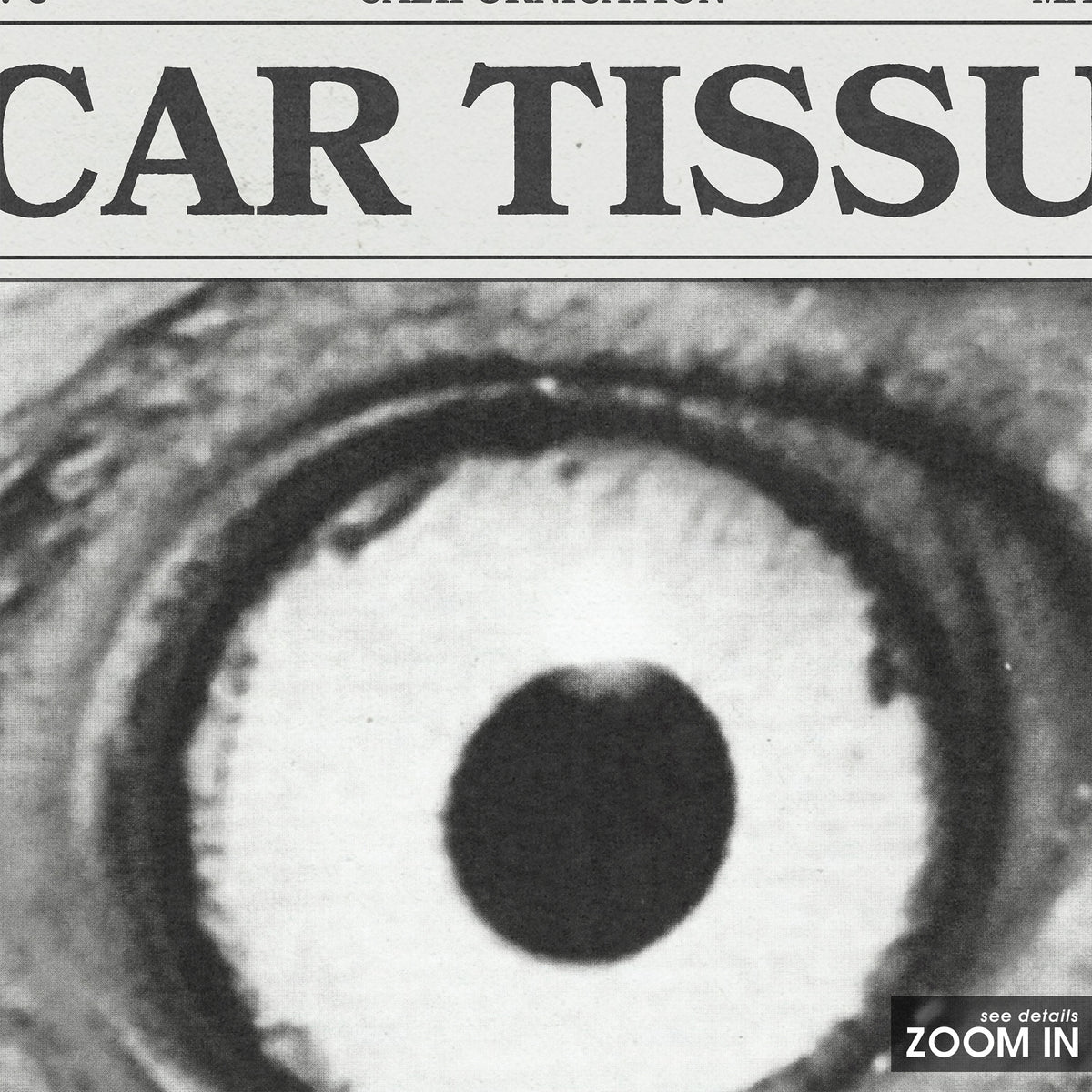 Red Hot Chili Peppers Scar Tissue newspaper poster — close-up detail