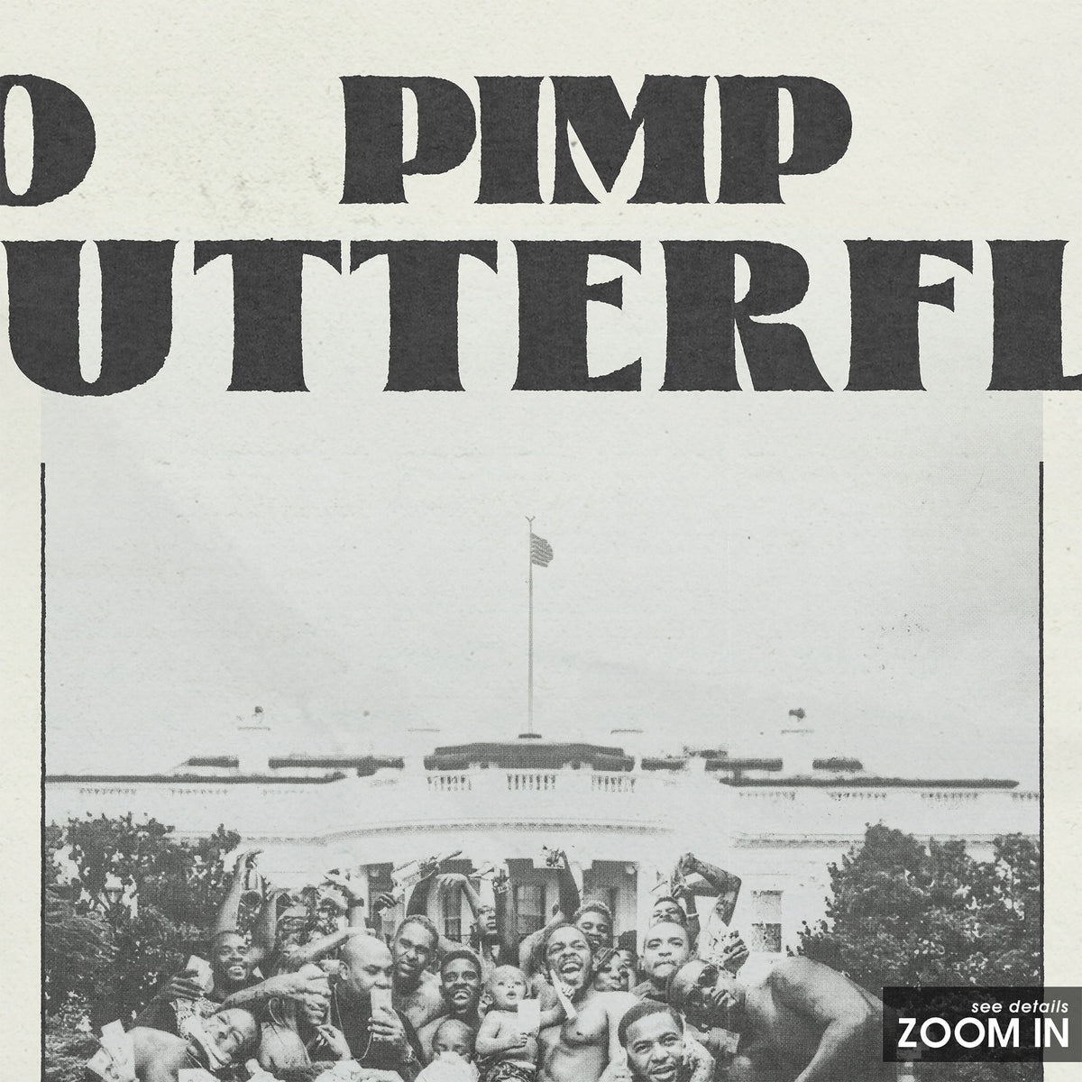 Kendrick Lamar To Pimp a Butterfly album poster — close-up detail