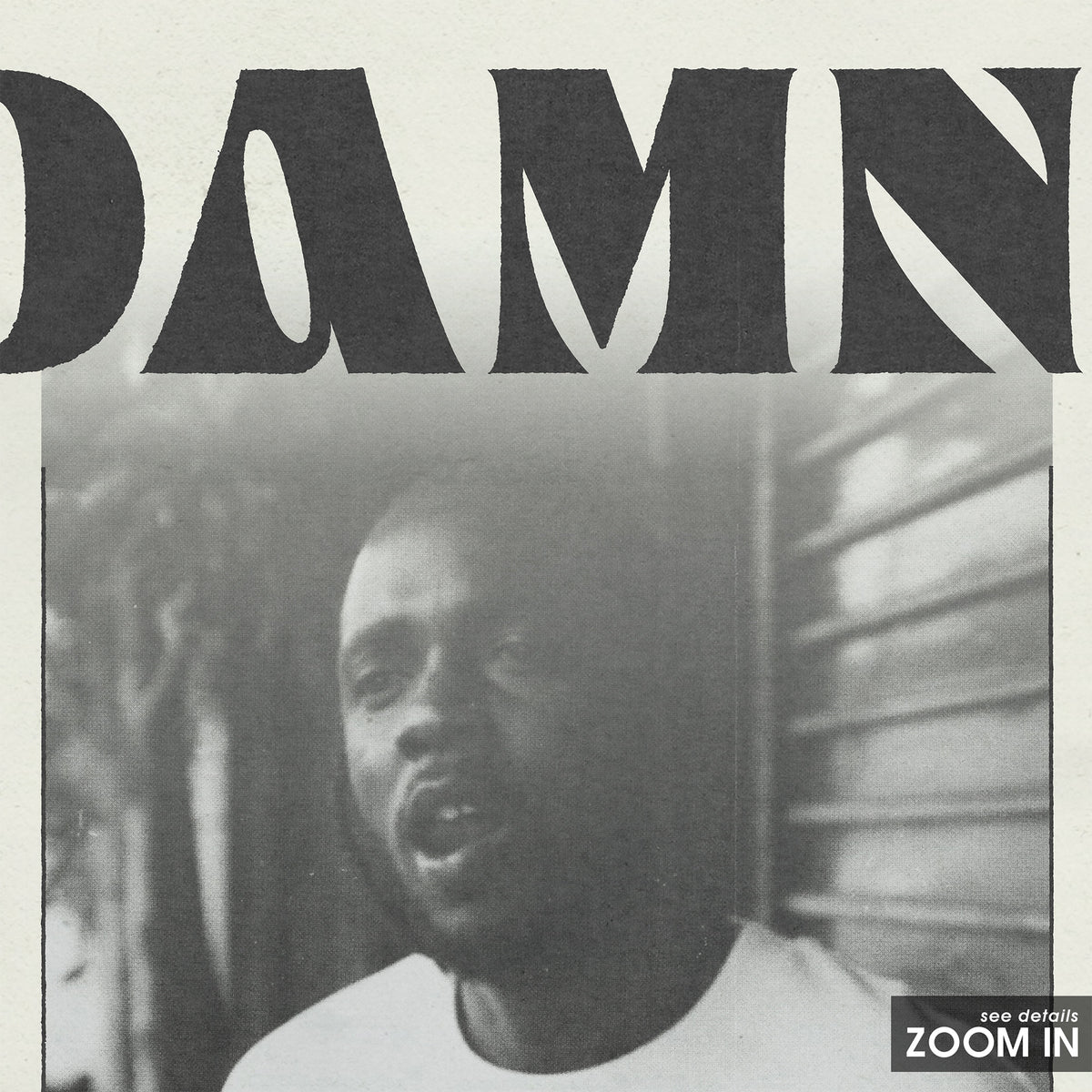 Kendrick Lamar DAMN. Monochrome Portrait album poster — close-up detail