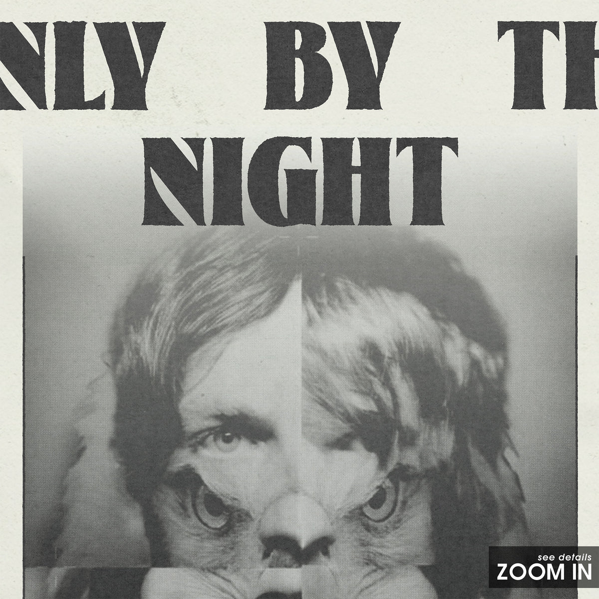 Kings of Leon Only by the Night newspaper poster — close-up detail