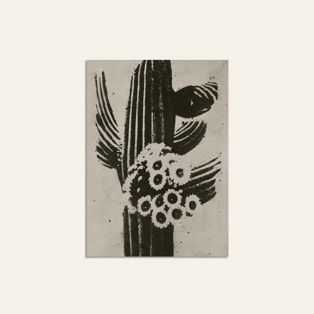 Saguaro Bloom unframed western art print