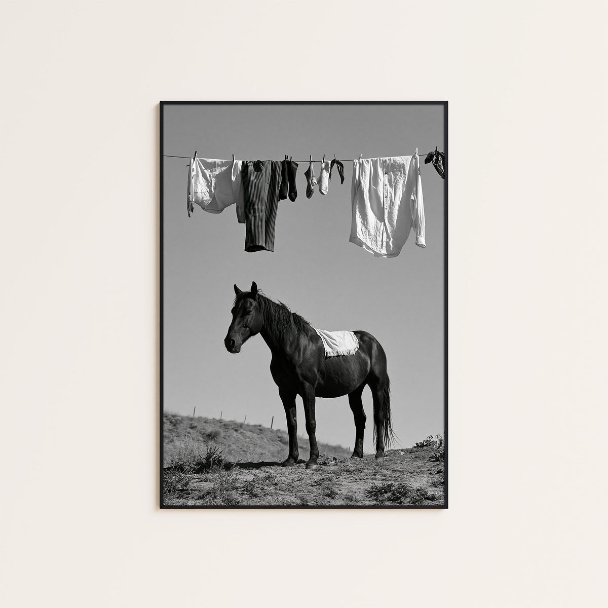 Under the Washing Line - Black Horse Print - framed artwork overview