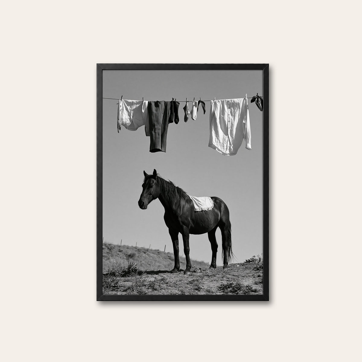 Under the Washing Line - Black Horse Print - black frame