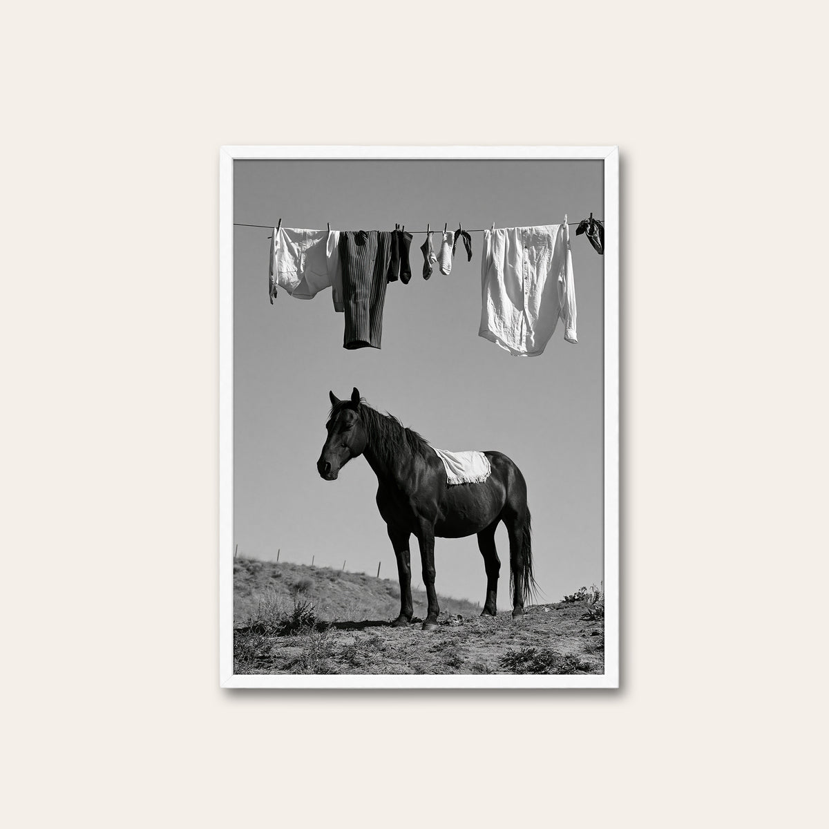 Under the Washing Line - Black Horse Print - white frame