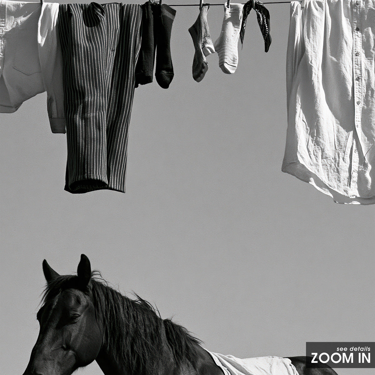 Under the Washing Line - Black Horse Print - artwork detail