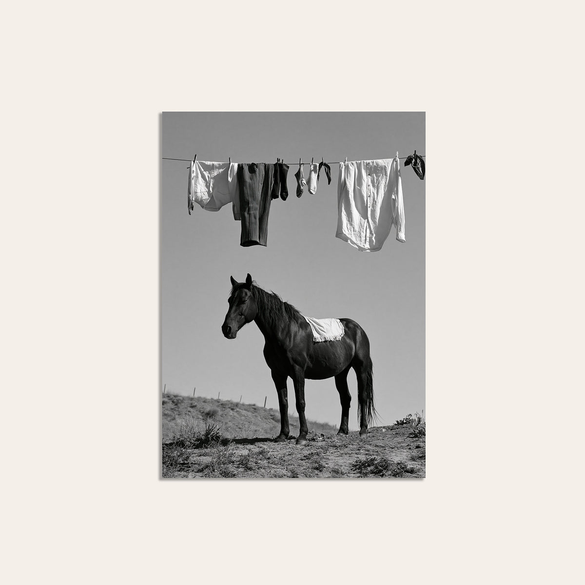 Under the Washing Line - Black Horse Print - unframed print
