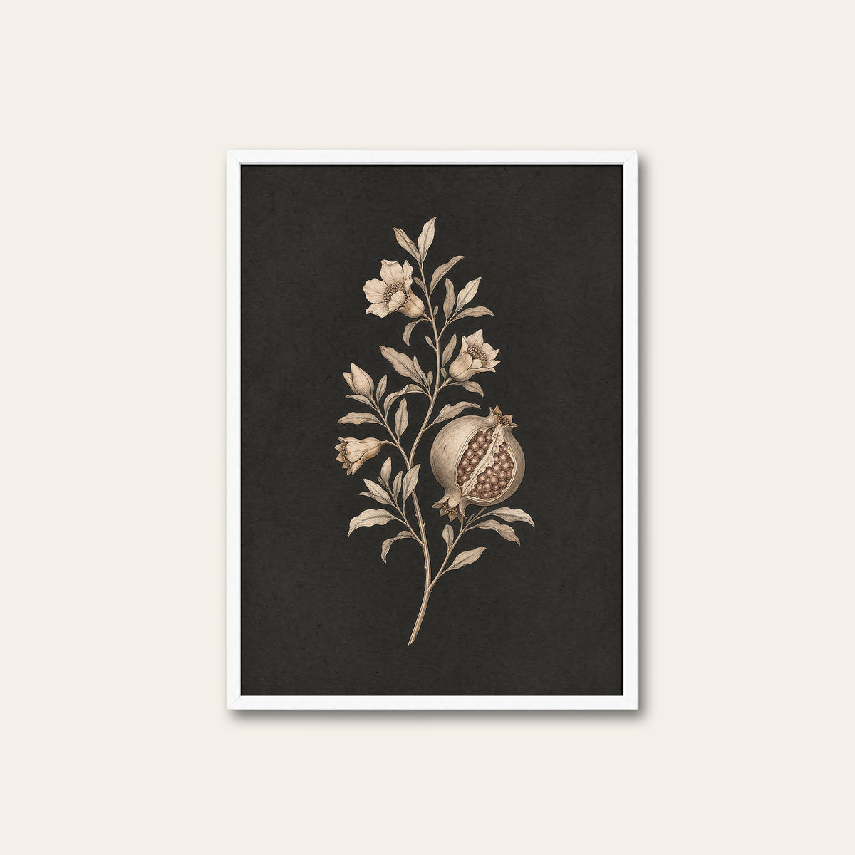 Pomegranate Study - Charcoal Botanical Print - white frame