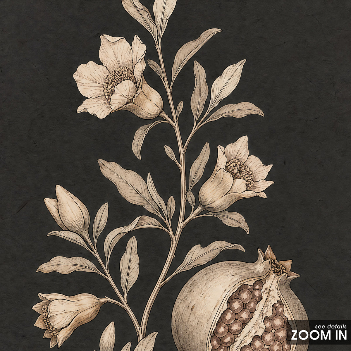 Pomegranate Study - Charcoal Botanical Print - artwork detail
