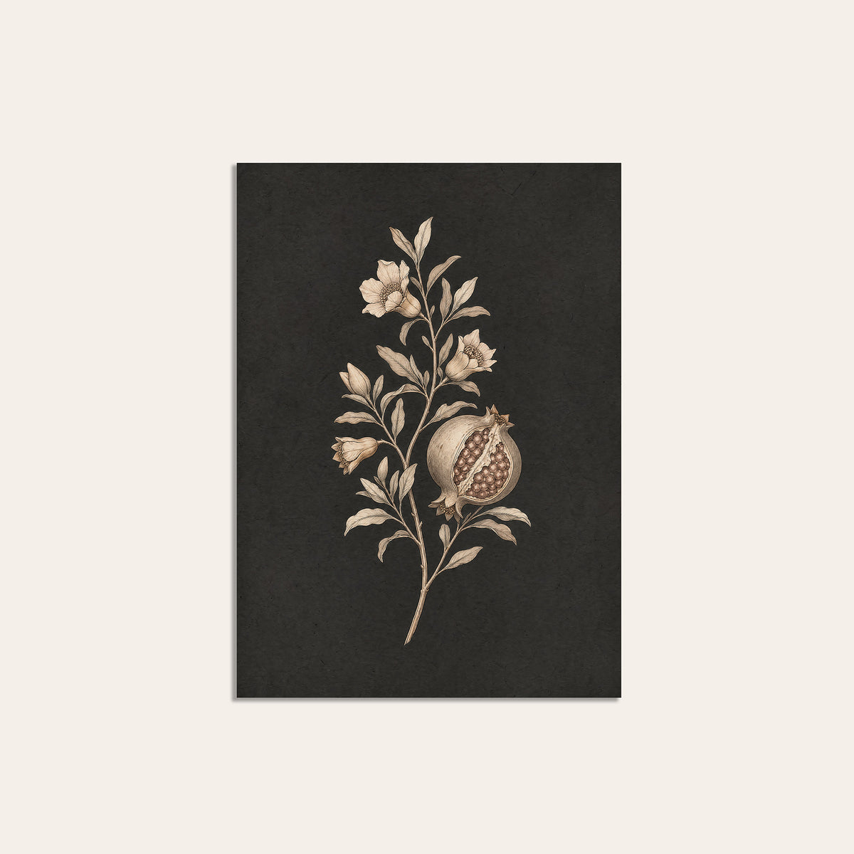 Pomegranate Study - Charcoal Botanical Print - unframed print