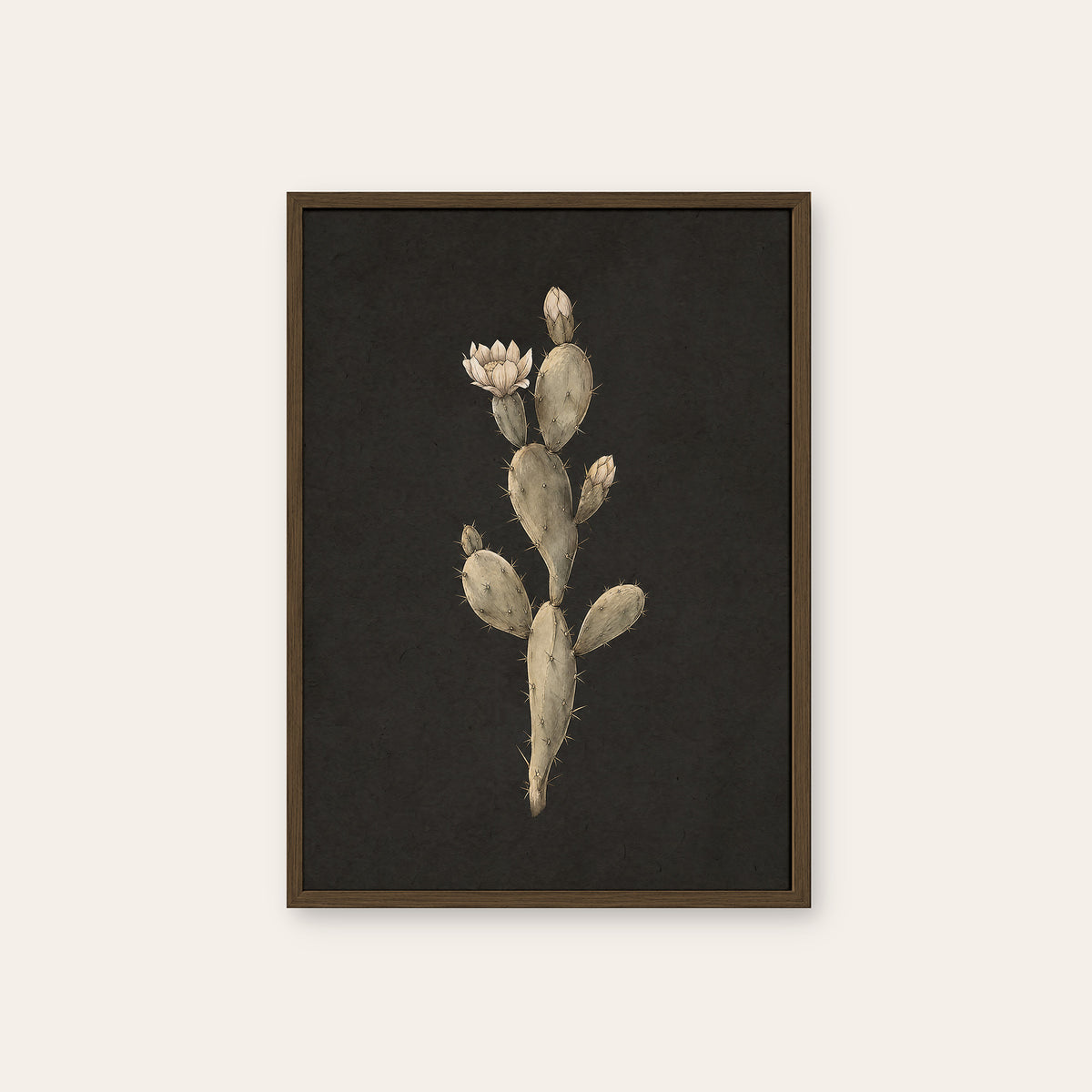Prickly Pear Study - Charcoal Botanical Print - dark wood frame