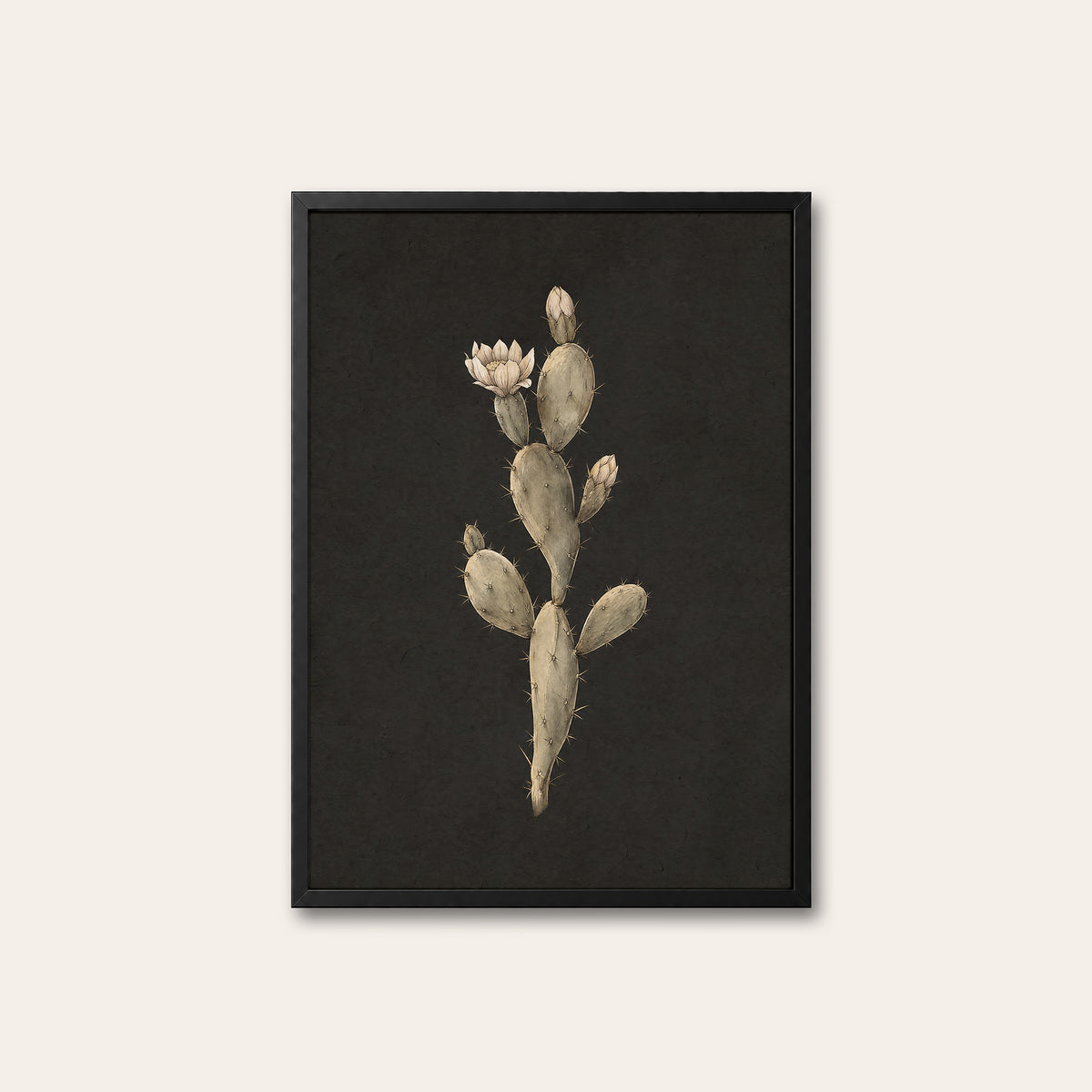 Prickly Pear Study - Charcoal Botanical Print - black frame