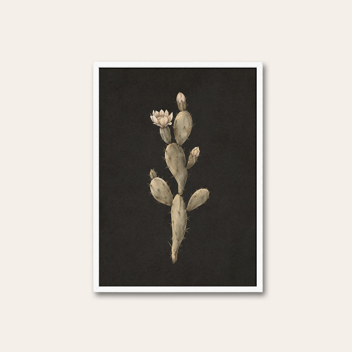 Prickly Pear Study - Charcoal Botanical Print - white frame