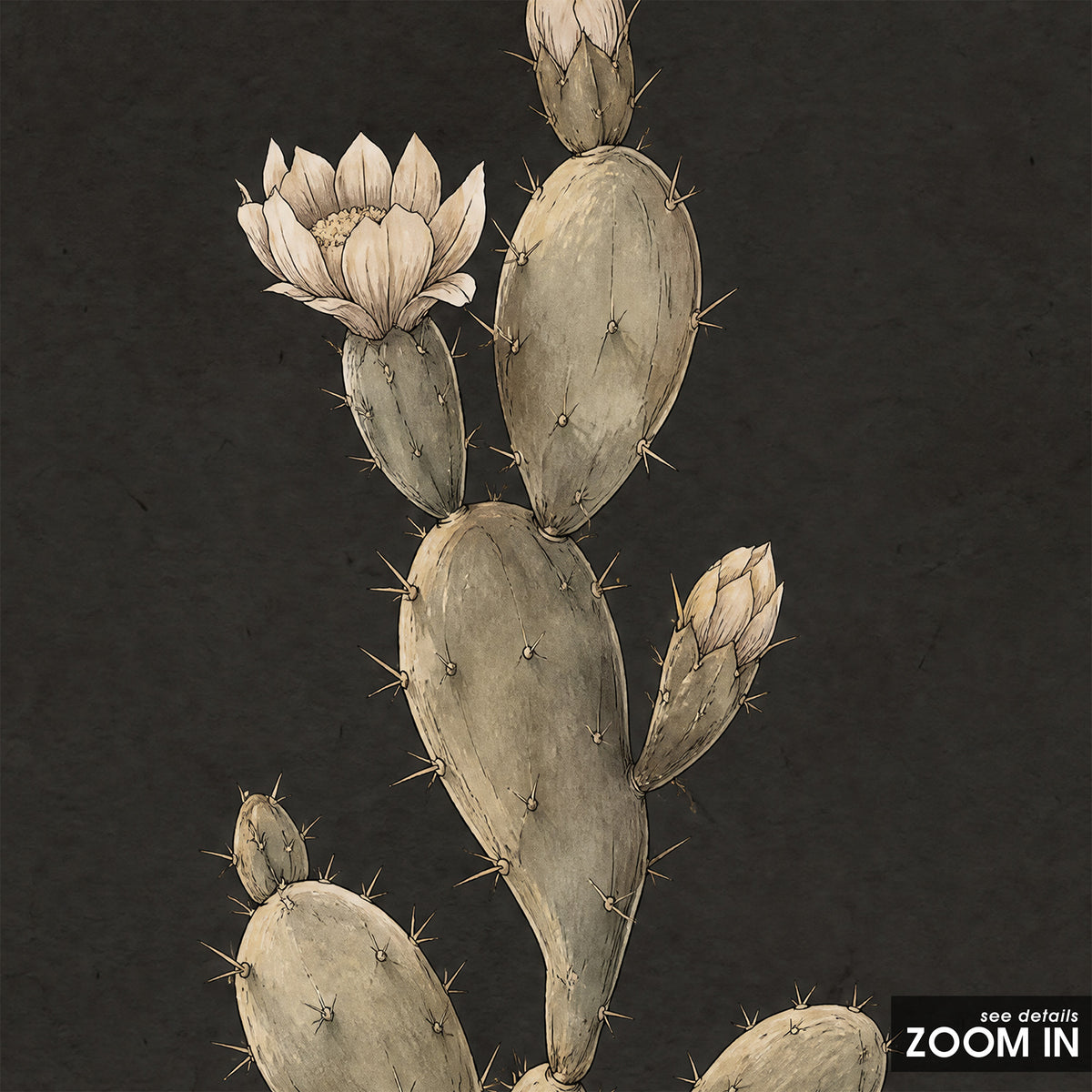 Prickly Pear Study - Charcoal Botanical Print - artwork detail