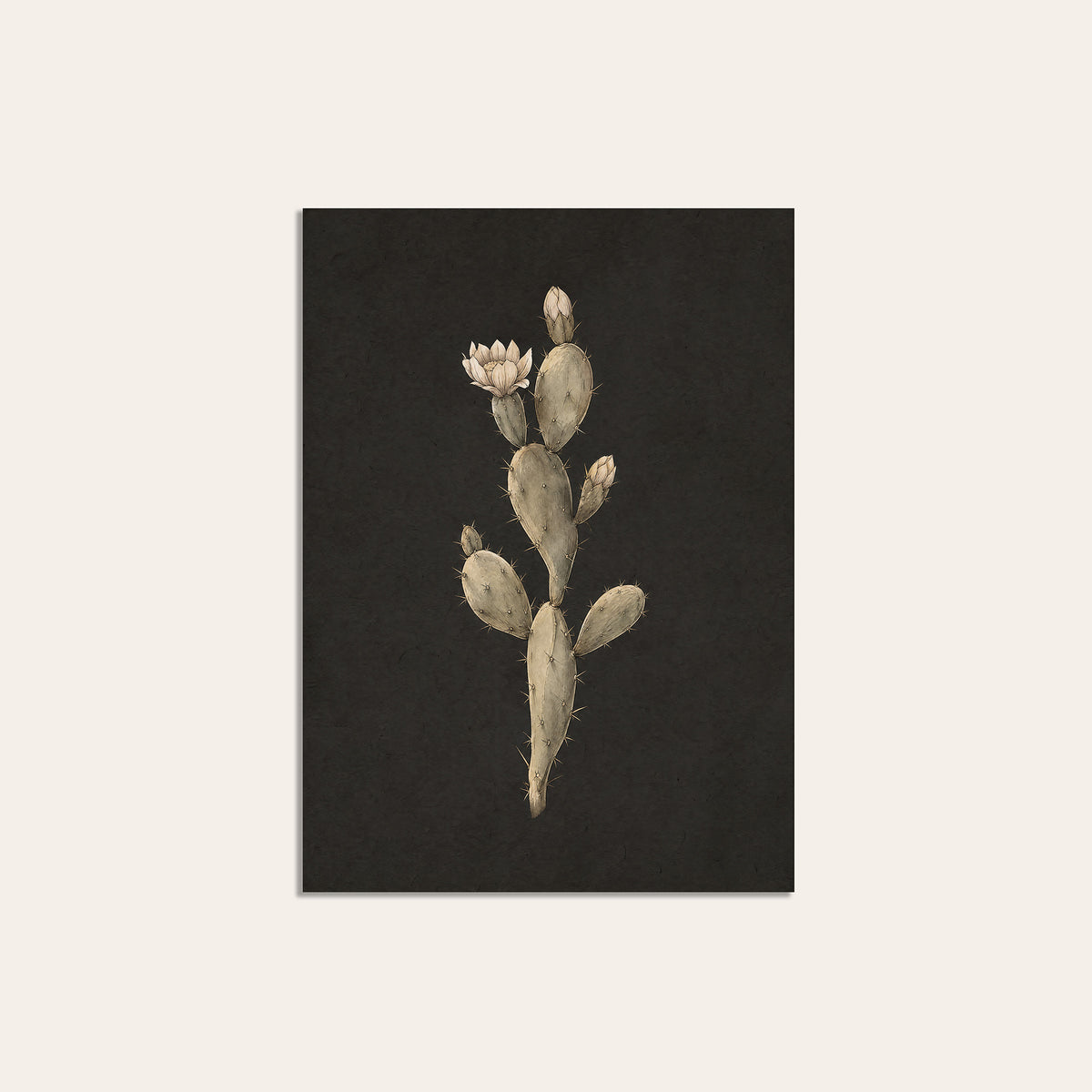 Prickly Pear Study - Charcoal Botanical Print - unframed print