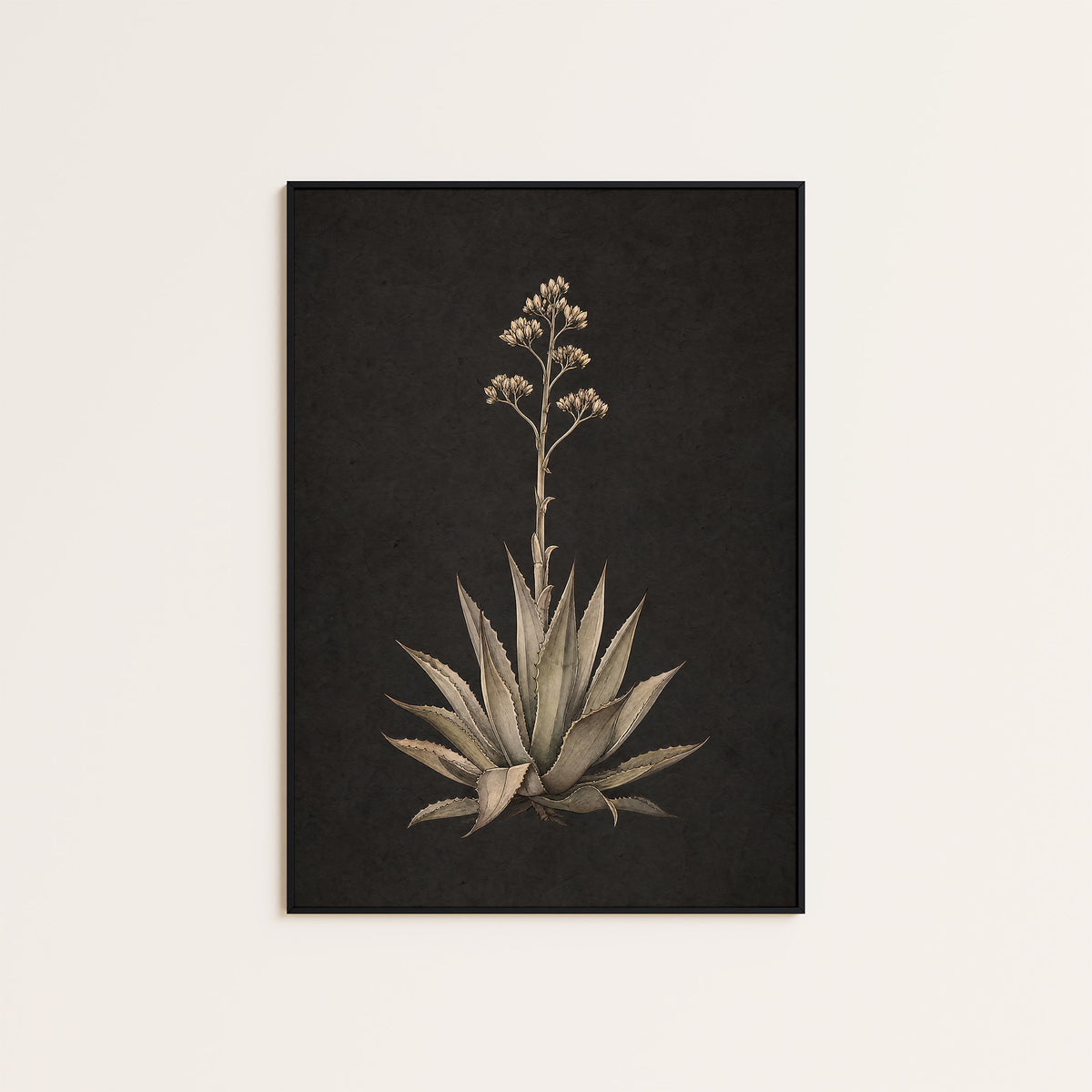 Agave Study - Charcoal Botanical Print - framed artwork overview
