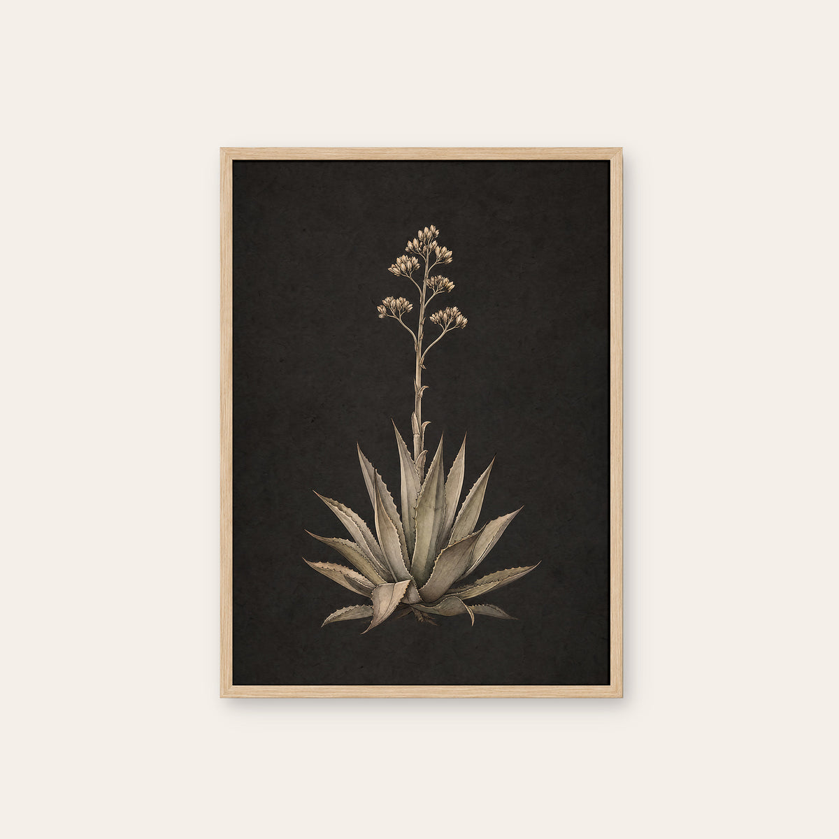 Agave Study - Charcoal Botanical Print - natural wood frame