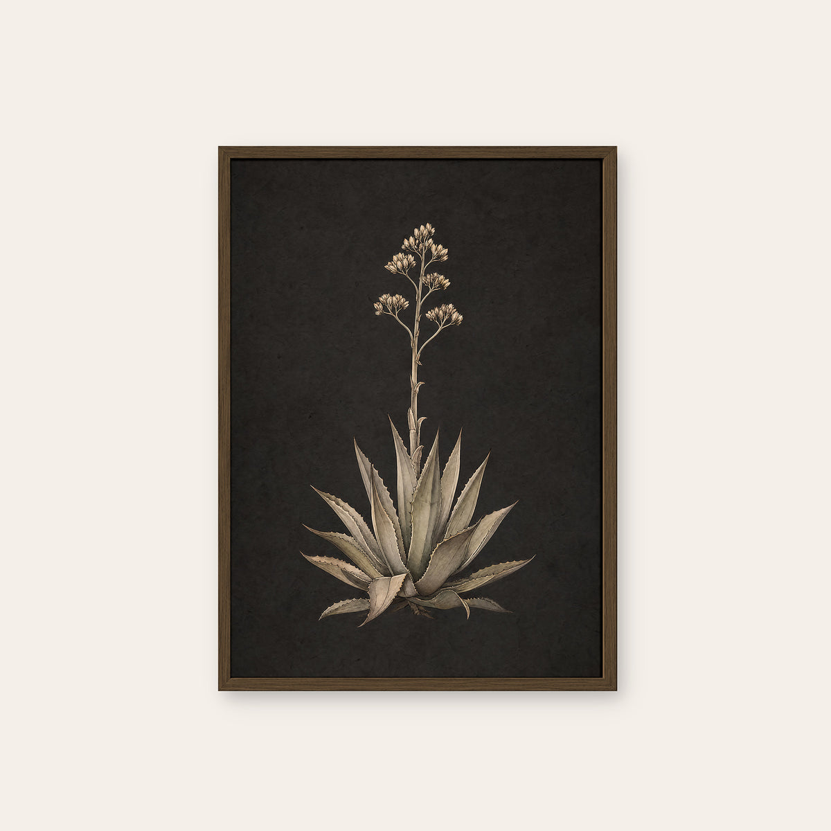 Agave Study - Charcoal Botanical Print - dark wood frame