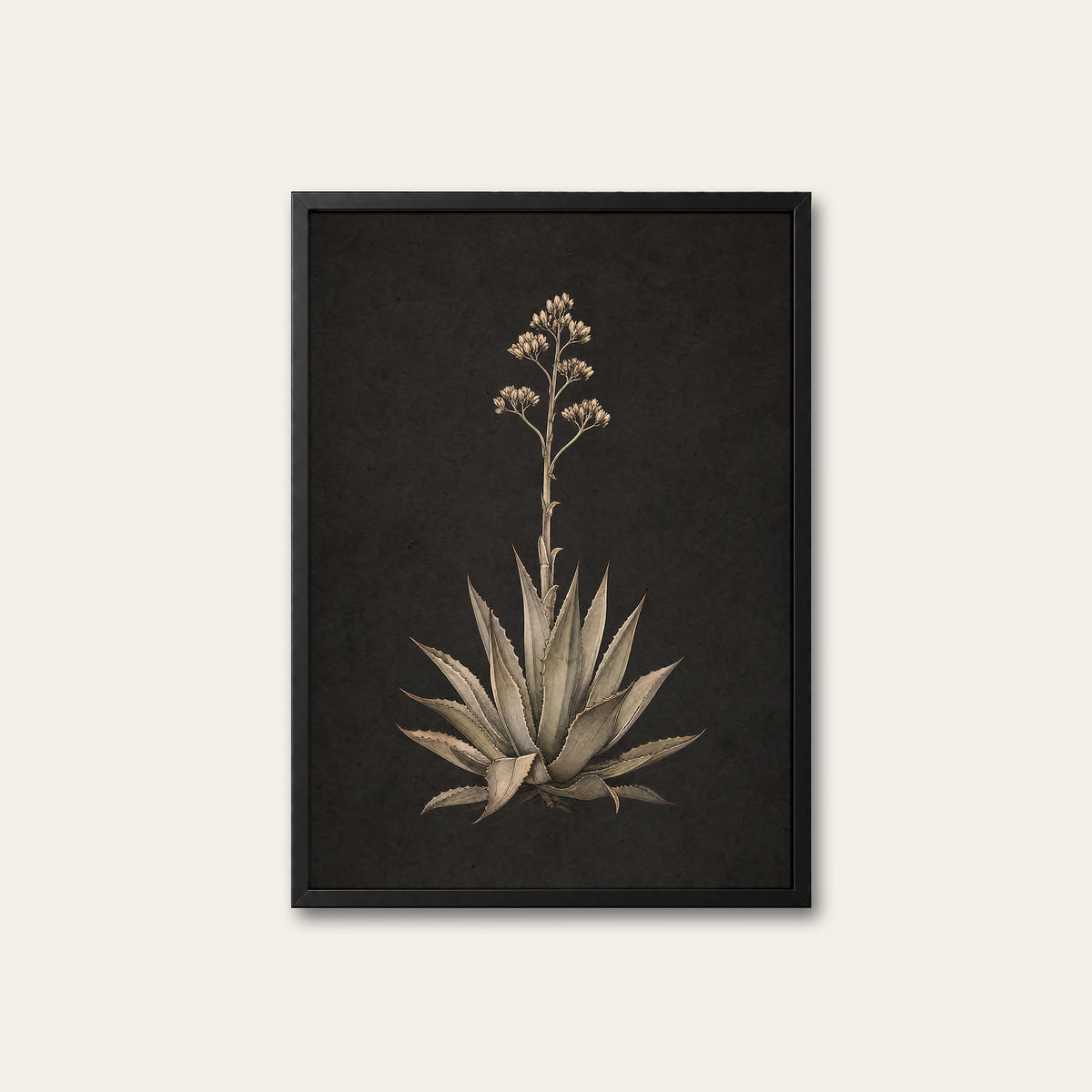 Agave Study - Charcoal Botanical Print - black frame
