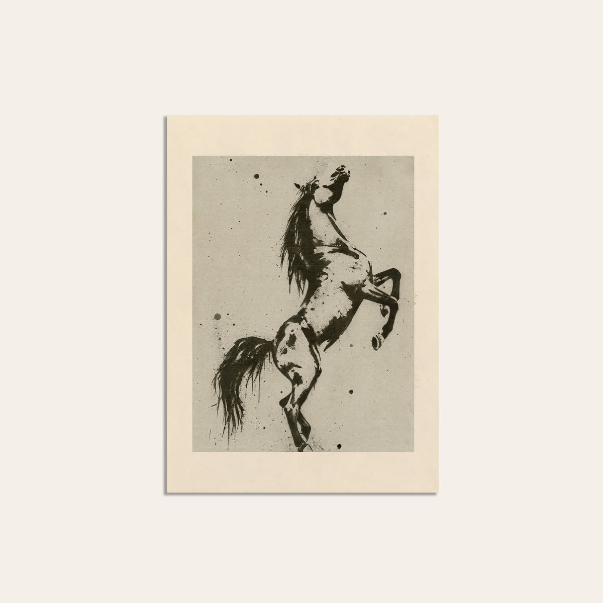 Rearing Horse Study unframed western art print