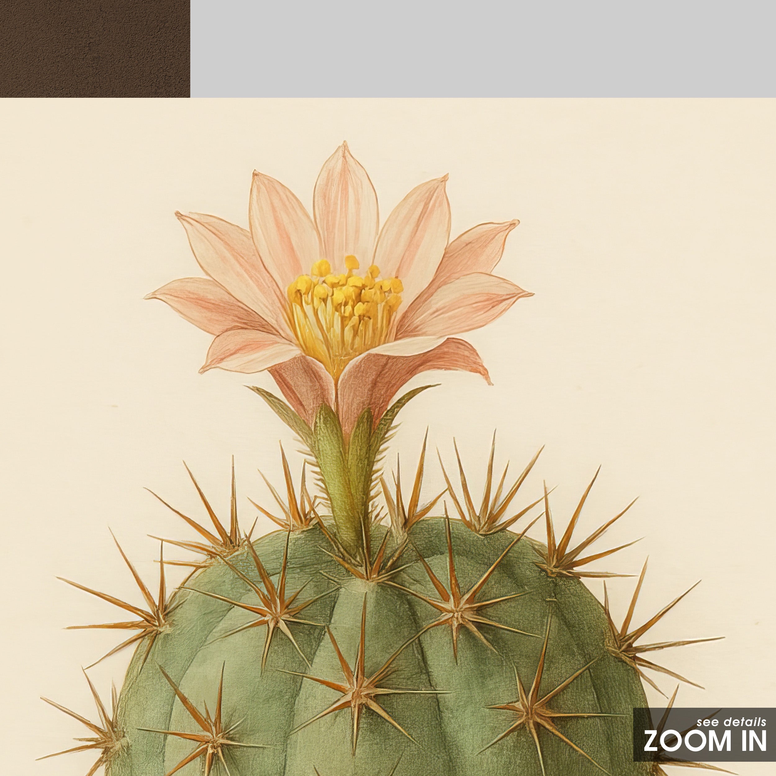 First Bloom — Cactus Botanical Print – in room setting
