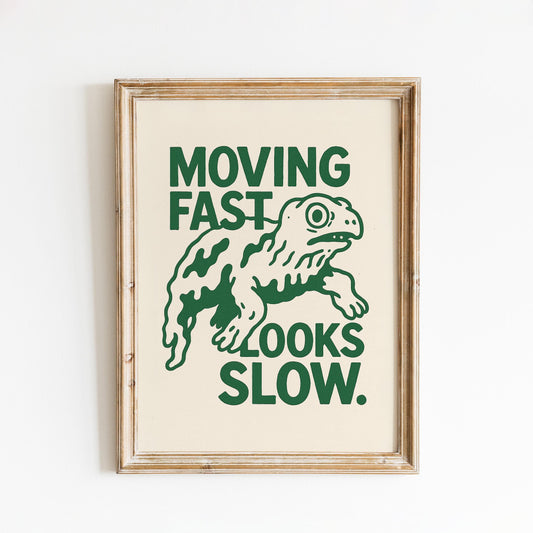 Moving Fast Looks Slow – Turtle Wall Art